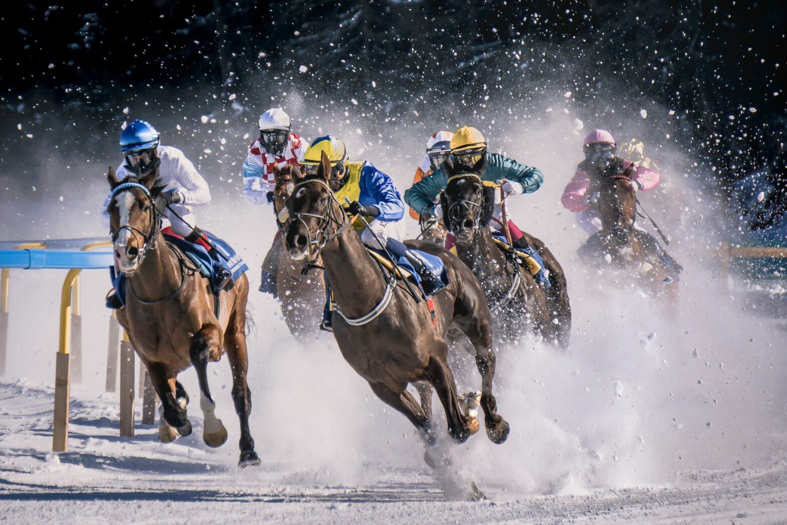 Sports Streaming Solutions - Horse Race Betting
