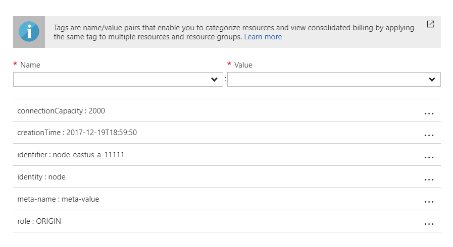 Instance Tags