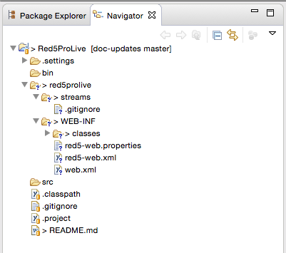 Red5 Pro Application