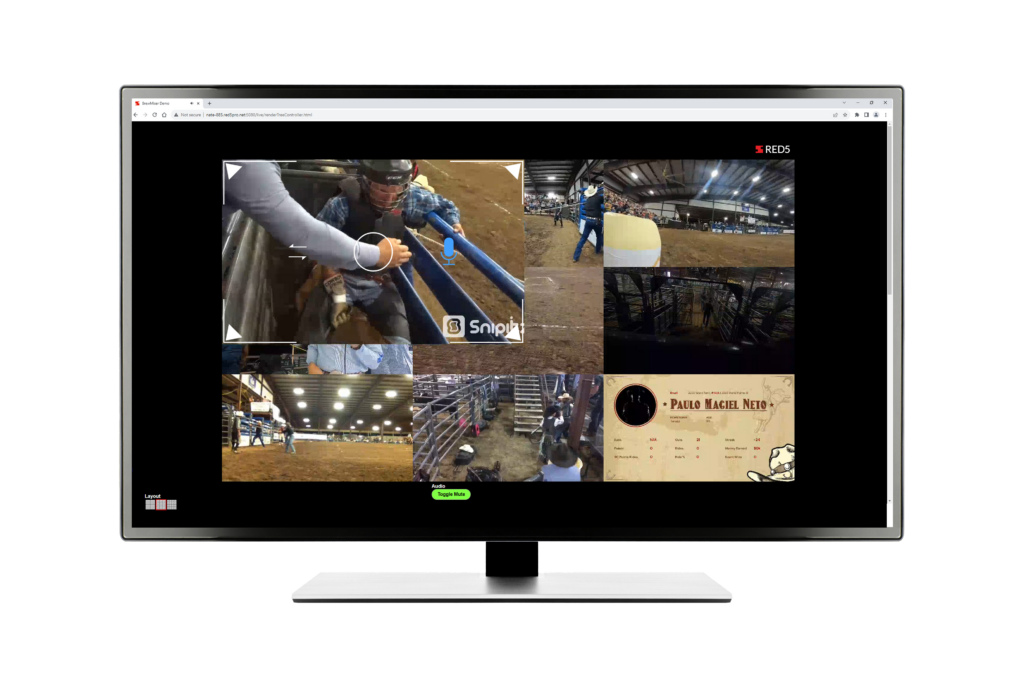 Live Streaming SDK